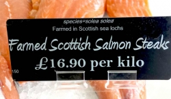 farmed salmon label