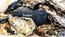 Oyster season starts on on our counter