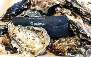 Oyster season starts on on our counter