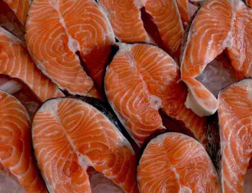 BBQ Salmon Steak Grilling Tips