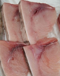 swordfish steaks
