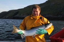 wild salmon catch