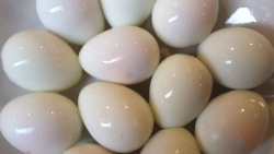 peeled quail eggs