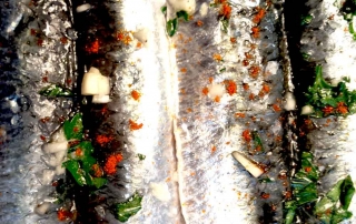 grilled sardines ready to cook