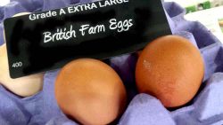 fresh farm eggs for Easter