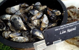fresh mussels for moules mariniere