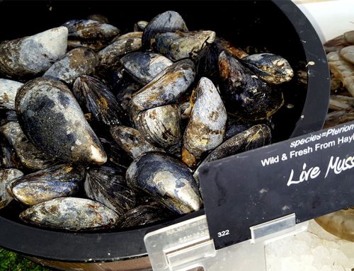 Moules Mariniere Recipe