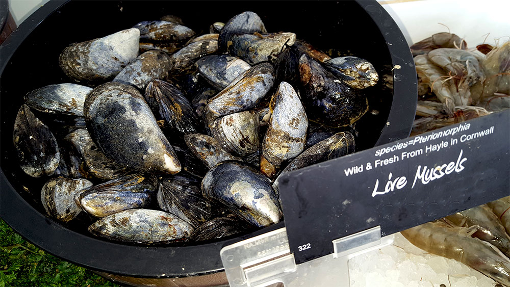 fresh mussels for moules mariniere
