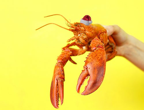 Christmas Lobster 2023