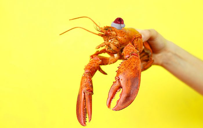 christmas lobster