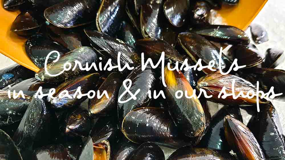 cornish mussels