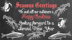 Happy Christmas and new year Shop opening times