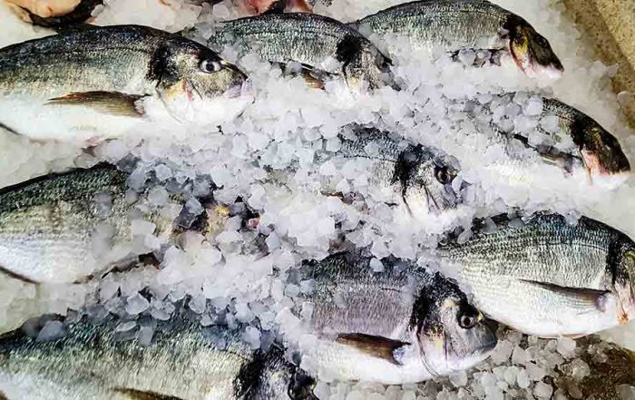 fresh fish for sea bream traybake