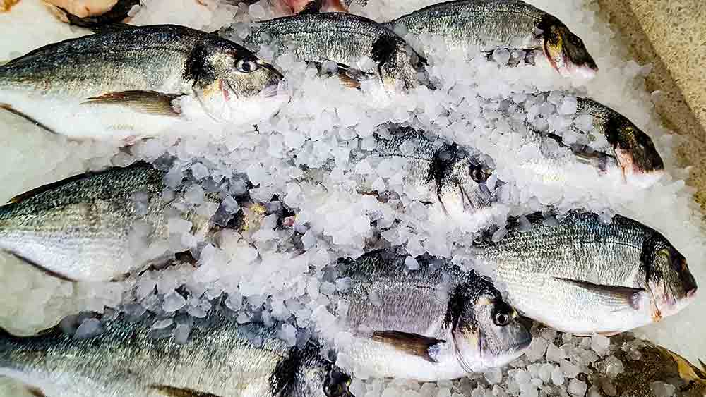 fresh fish for sea bream traybake