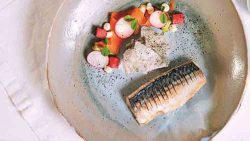 pan fried mackerel on plate