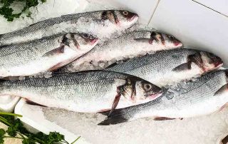 line caught fish perfect for roast sea bass recipe