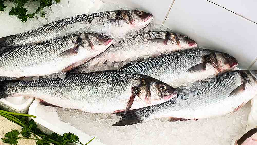 line caught fish perfect for roast sea bass recipe