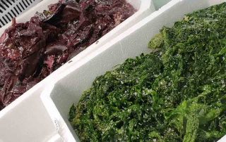 boxes of red and gree seaweed on our counter