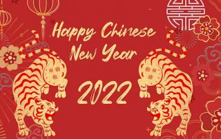 chinese new year lion 2022