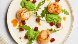 scallop recipe with peas and chorizo on plate
