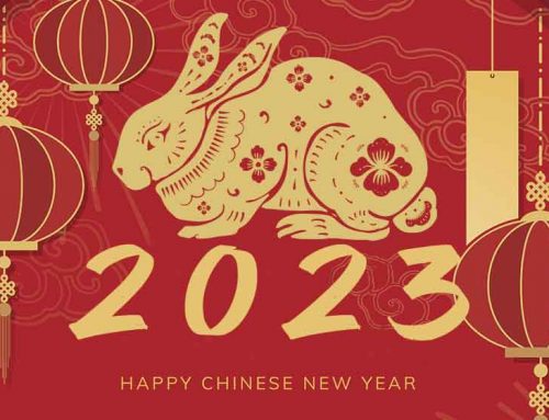 Fish For Chinese New Year 2023