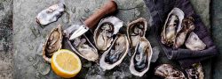 shucked oysters with lemon and knife