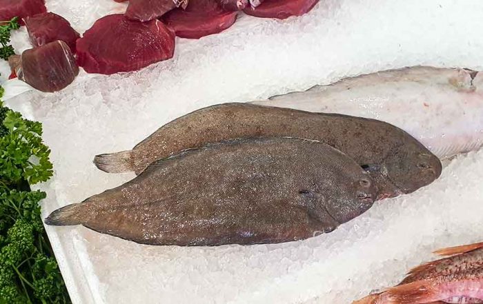 dover sole on counter