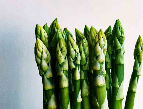Asparagus And Fish Recipes