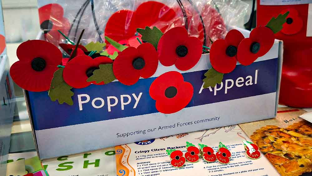 poppy day
