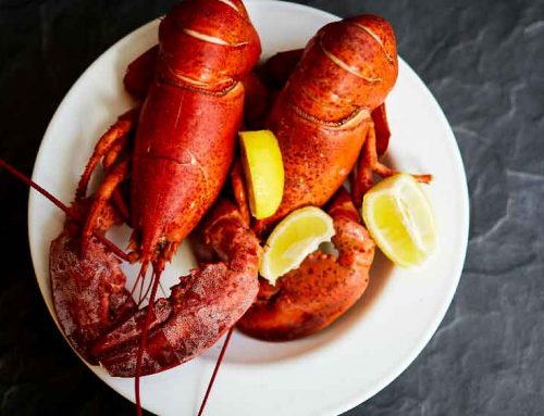 Cooking Lobster
