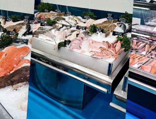 Refit For Muswell Hill Shop