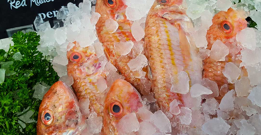 red mullet on ice